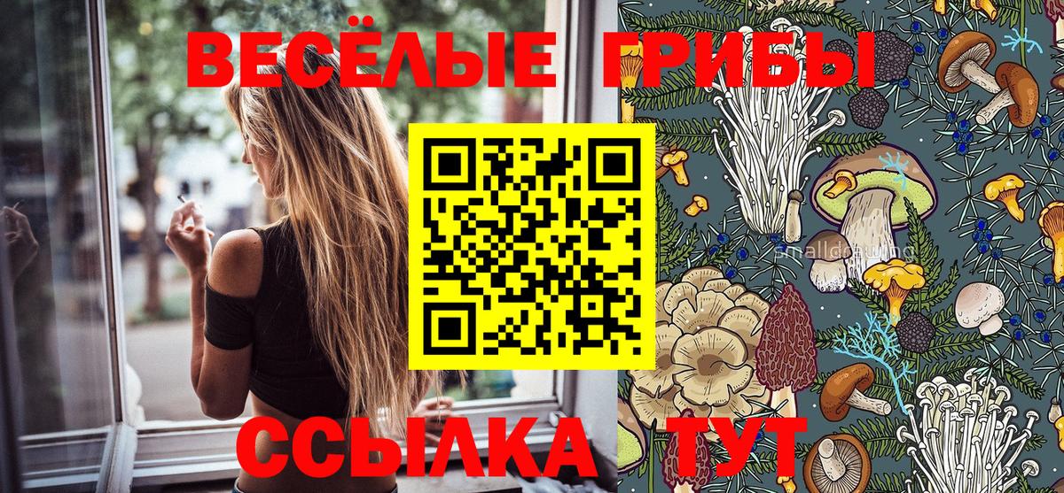 Псилоцибиновые грибы Psilocybine cubensis  Галлюциногенные грибы MAGIC MUSHROOMS  Вход с VPN  Иваново 