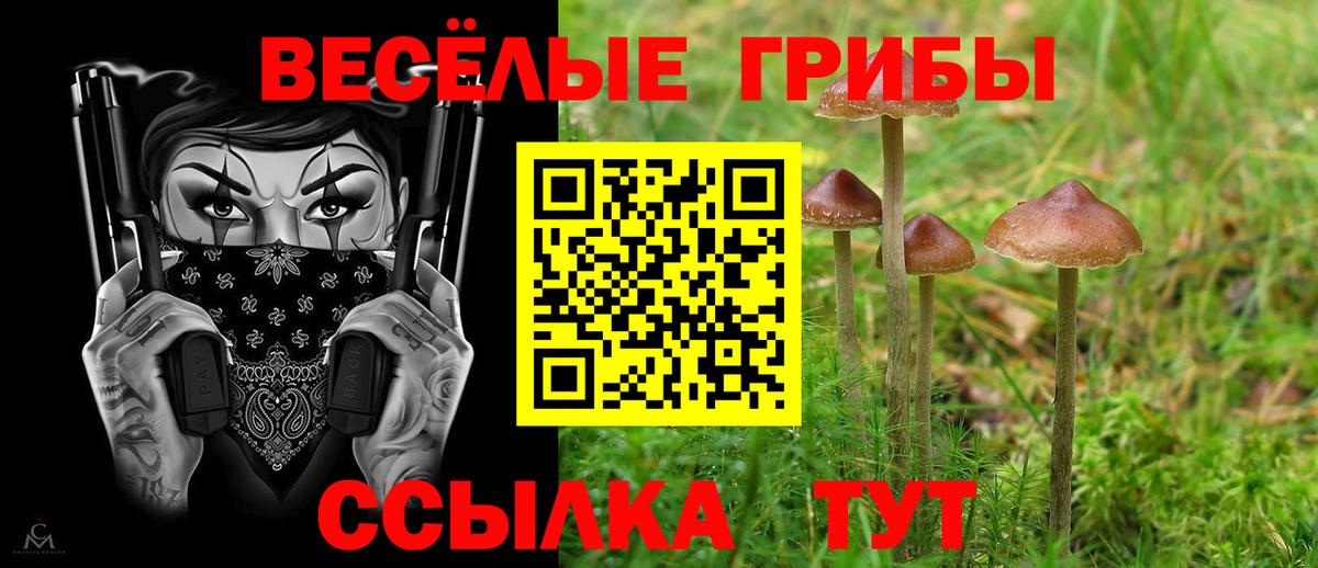 Псилоцибиновые грибы Magic Shrooms Иваново